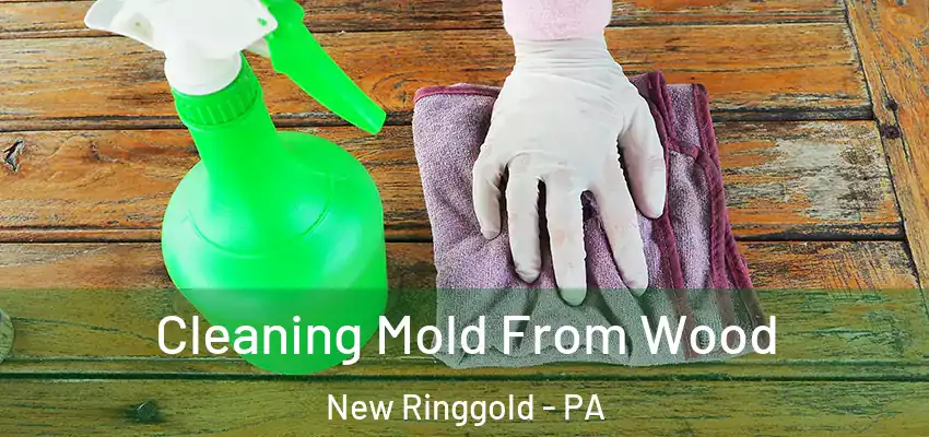  Cleaning Mold From Wood New Ringgold - PA