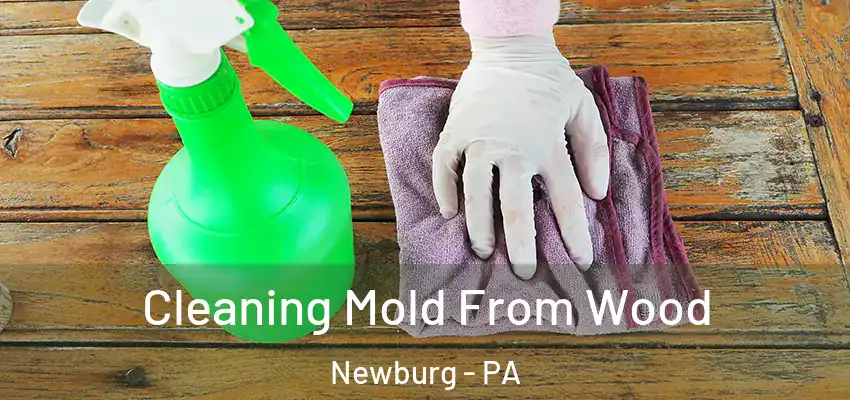  Cleaning Mold From Wood Newburg - PA