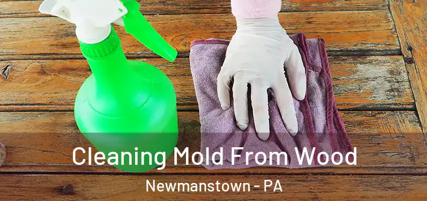 Cleaning Mold From Wood Newmanstown - PA