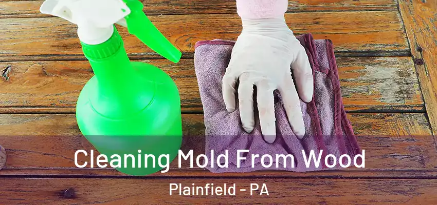  Cleaning Mold From Wood Plainfield - PA