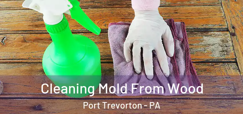  Cleaning Mold From Wood Port Trevorton - PA