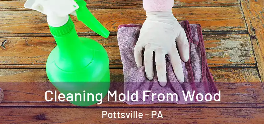 Cleaning Mold From Wood Pottsville - PA