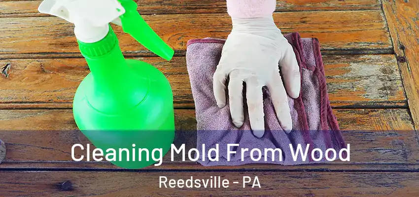  Cleaning Mold From Wood Reedsville - PA