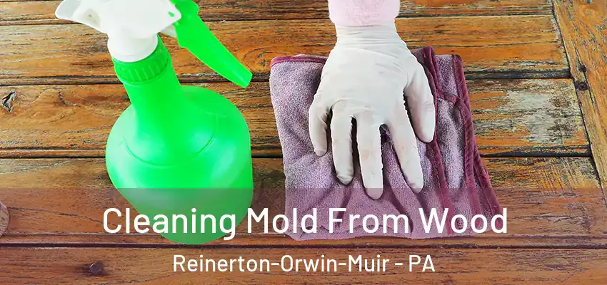 Cleaning Mold From Wood Reinerton-Orwin-Muir - PA