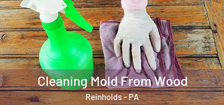 Cleaning Mold From Wood Reinholds - PA