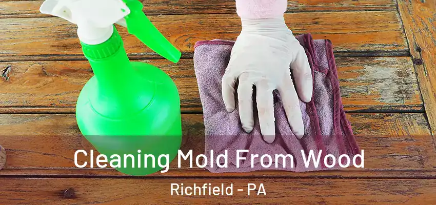 Cleaning Mold From Wood Richfield - PA