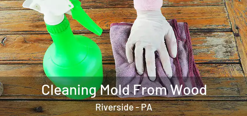  Cleaning Mold From Wood Riverside - PA