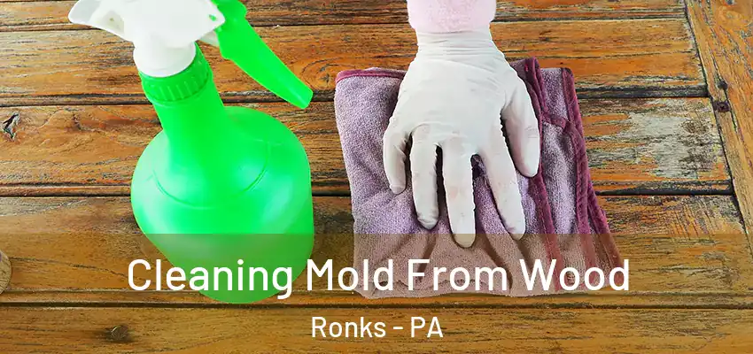  Cleaning Mold From Wood Ronks - PA