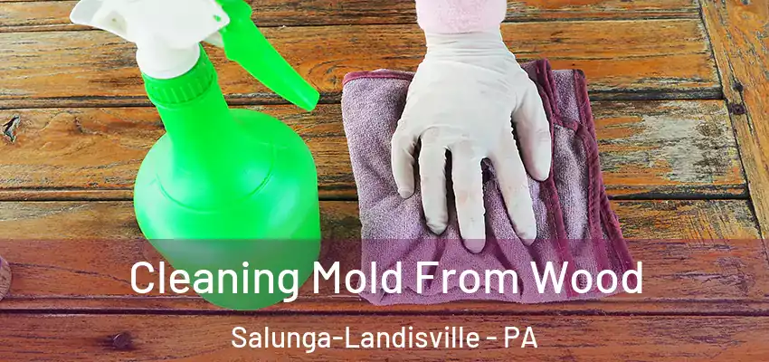  Cleaning Mold From Wood Salunga-Landisville - PA