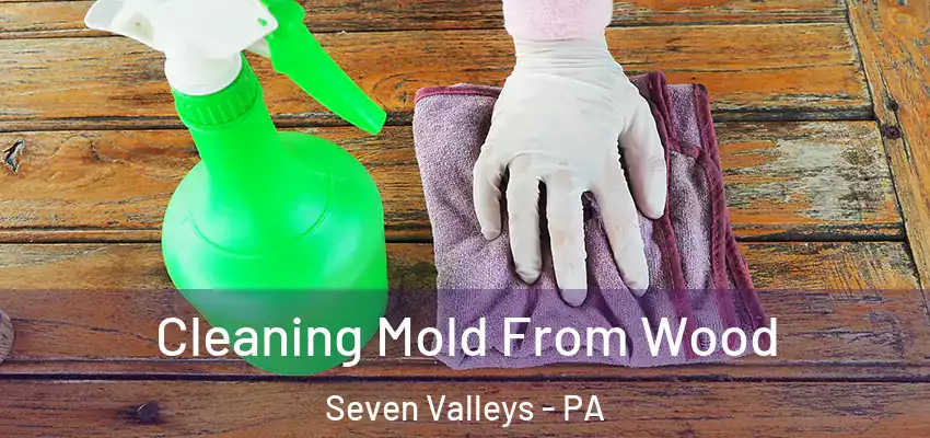 Cleaning Mold From Wood Seven Valleys - PA