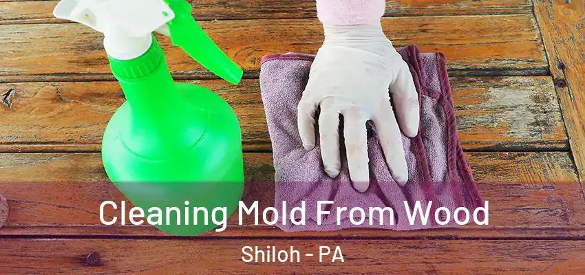  Cleaning Mold From Wood Shiloh - PA