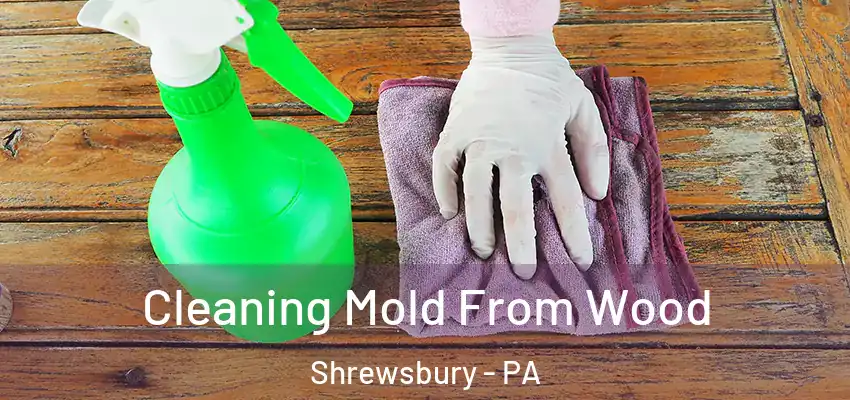  Cleaning Mold From Wood Shrewsbury - PA