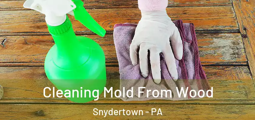 Cleaning Mold From Wood Snydertown - PA