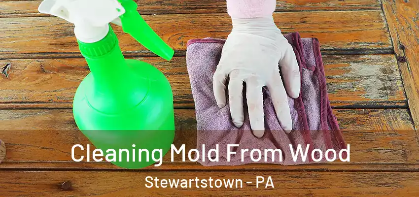  Cleaning Mold From Wood Stewartstown - PA