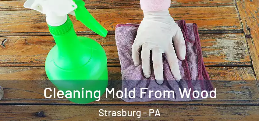 Cleaning Mold From Wood Strasburg - PA
