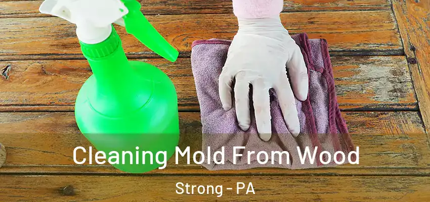  Cleaning Mold From Wood Strong - PA