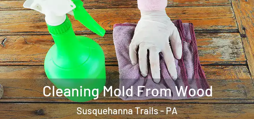  Cleaning Mold From Wood Susquehanna Trails - PA