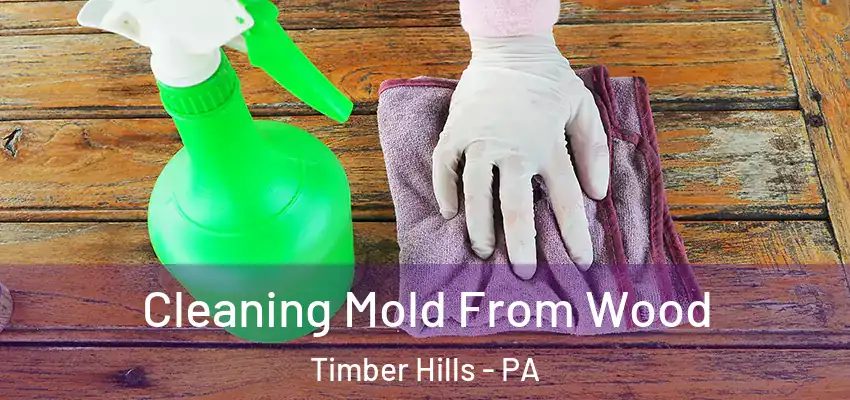  Cleaning Mold From Wood Timber Hills - PA