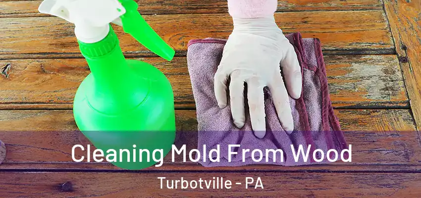 Cleaning Mold From Wood Turbotville - PA