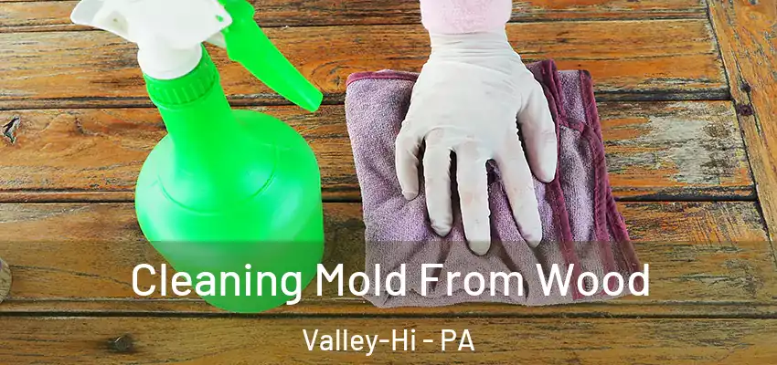  Cleaning Mold From Wood Valley-Hi - PA