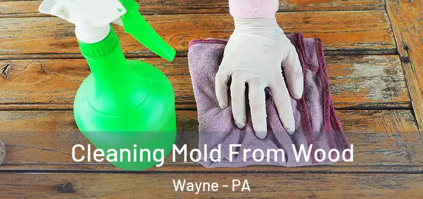 Cleaning Mold From Wood Wayne - PA