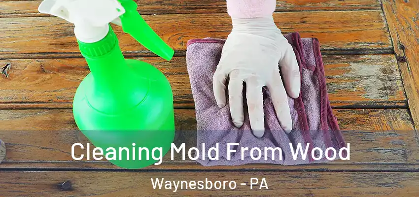 Cleaning Mold From Wood Waynesboro - PA