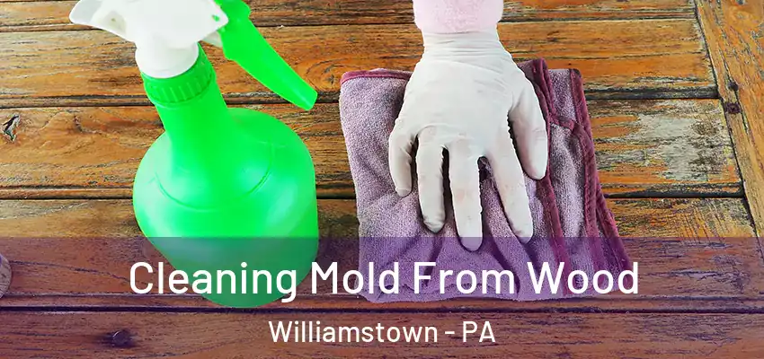  Cleaning Mold From Wood Williamstown - PA