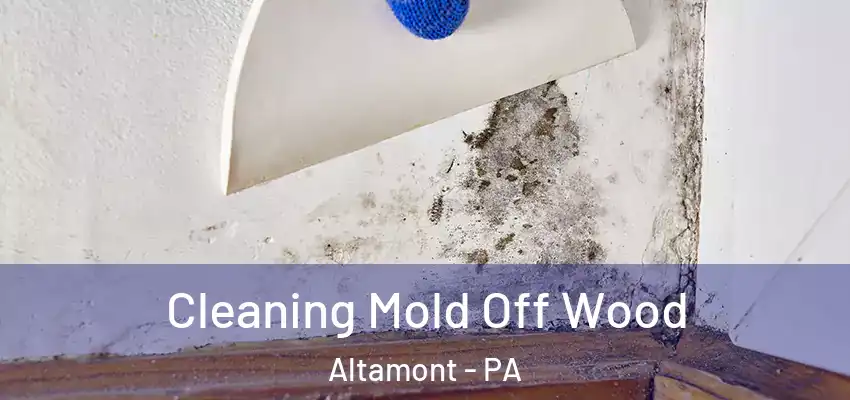 Cleaning Mold Off Wood Altamont - PA