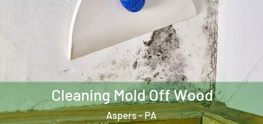 Cleaning Mold Off Wood Aspers - PA
