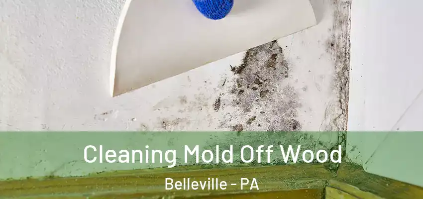  Cleaning Mold Off Wood Belleville - PA