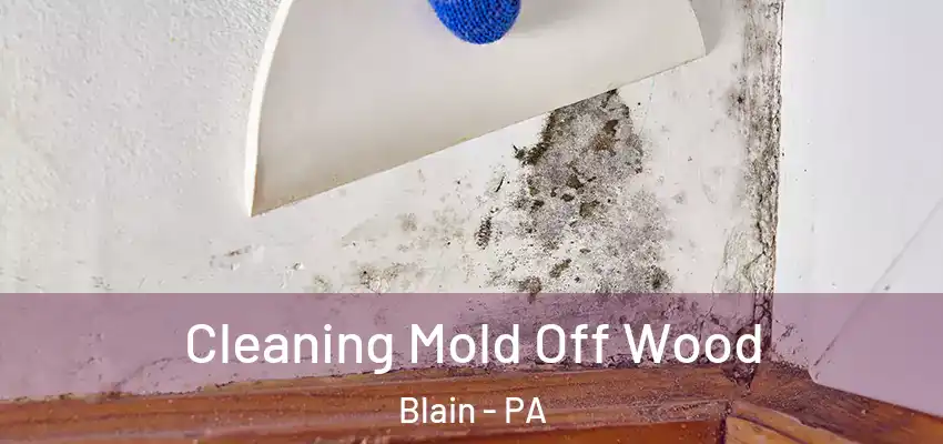  Cleaning Mold Off Wood Blain - PA