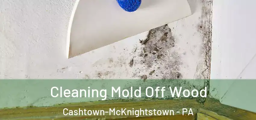  Cleaning Mold Off Wood Cashtown-McKnightstown - PA