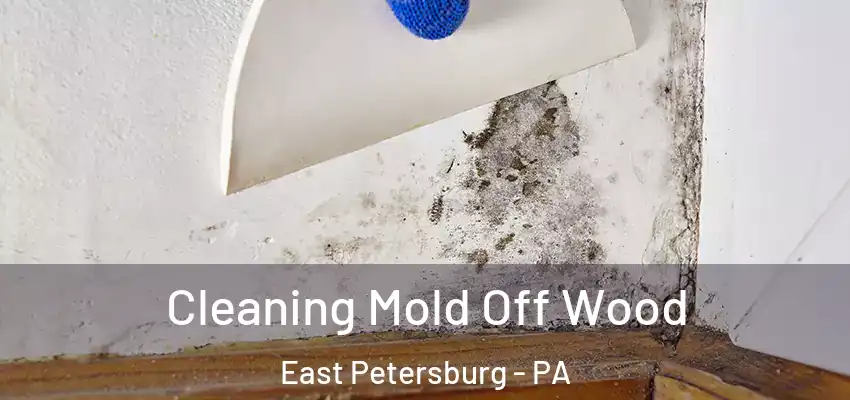 Cleaning Mold Off Wood East Petersburg - PA
