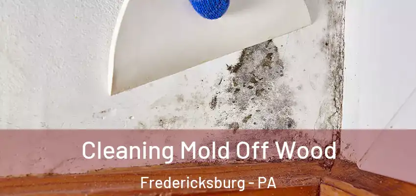 Cleaning Mold Off Wood Fredericksburg - PA