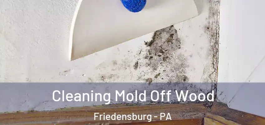 Cleaning Mold Off Wood Friedensburg - PA
