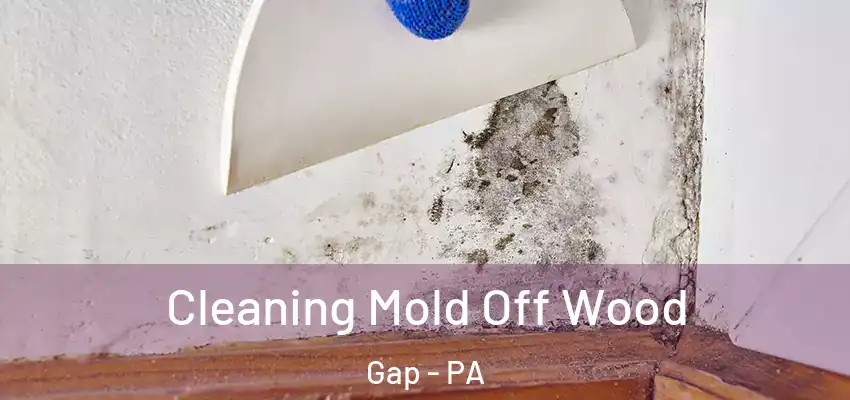 Cleaning Mold Off Wood Gap - PA