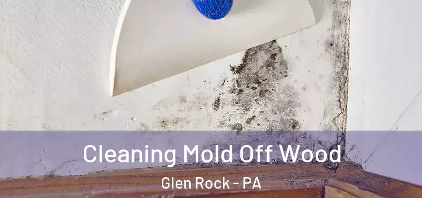  Cleaning Mold Off Wood Glen Rock - PA