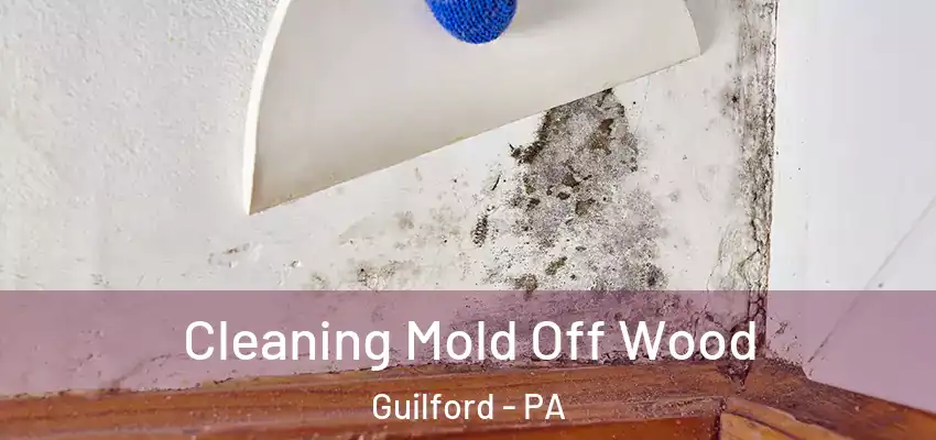  Cleaning Mold Off Wood Guilford - PA