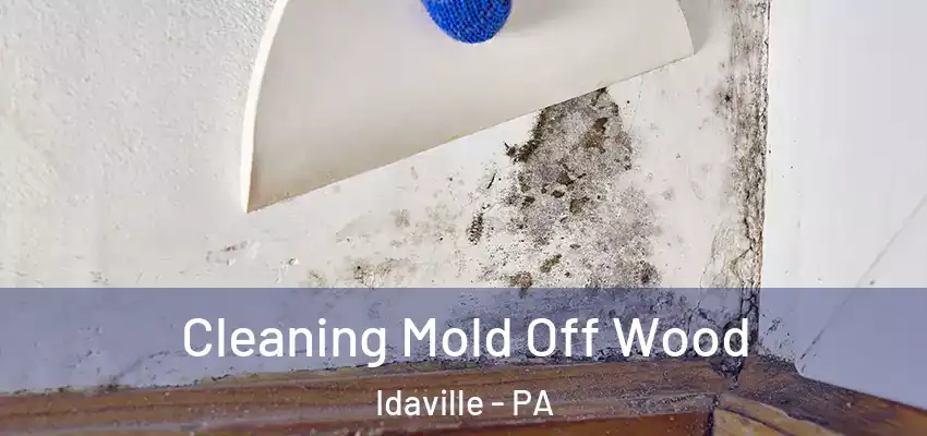  Cleaning Mold Off Wood Idaville - PA