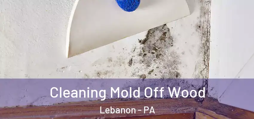 Cleaning Mold Off Wood Lebanon - PA