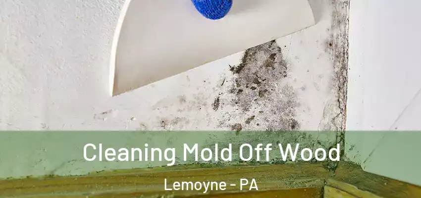  Cleaning Mold Off Wood Lemoyne - PA