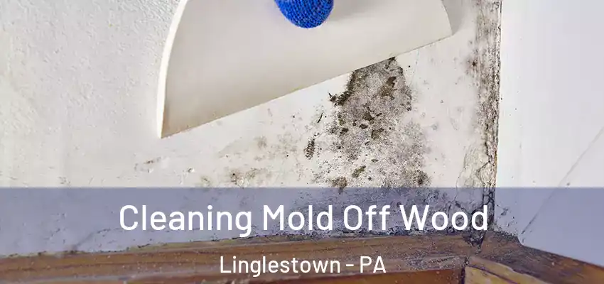 Cleaning Mold Off Wood Linglestown - PA