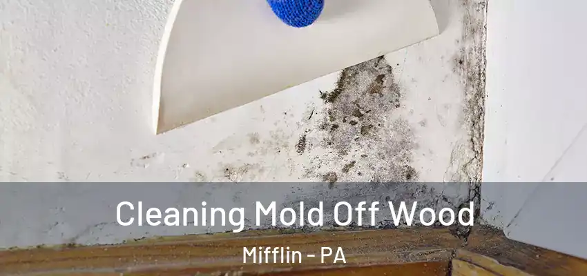  Cleaning Mold Off Wood Mifflin - PA