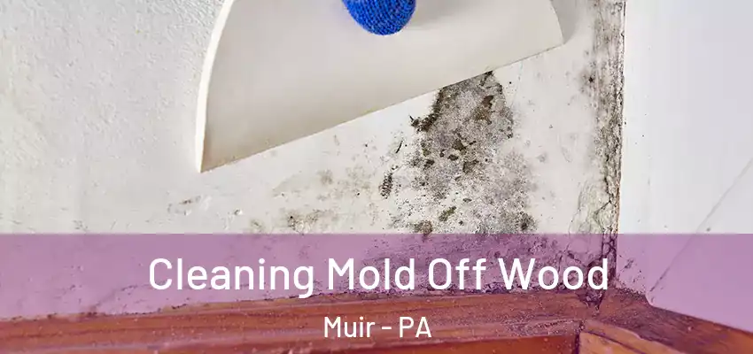  Cleaning Mold Off Wood Muir - PA