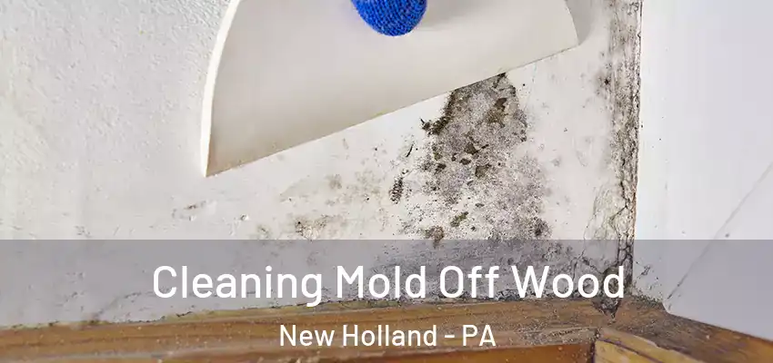 Cleaning Mold Off Wood New Holland - PA