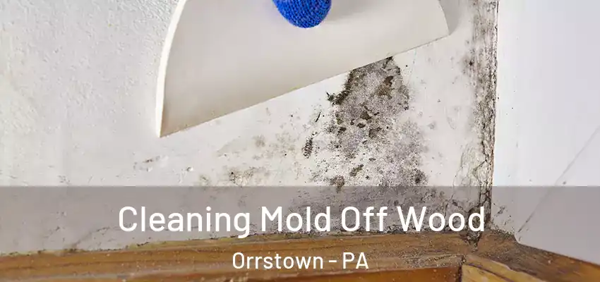  Cleaning Mold Off Wood Orrstown - PA