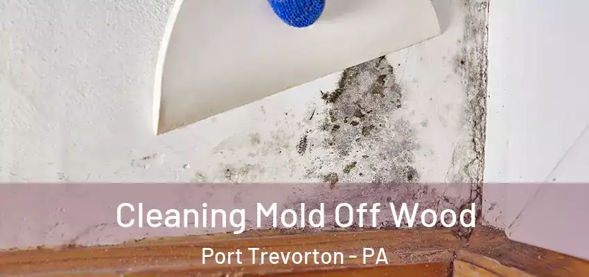  Cleaning Mold Off Wood Port Trevorton - PA