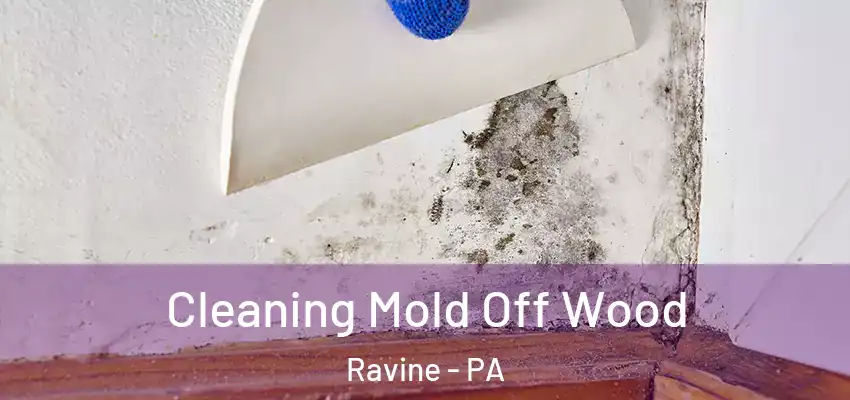  Cleaning Mold Off Wood Ravine - PA