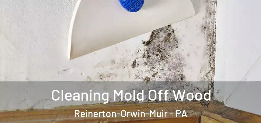 Cleaning Mold Off Wood Reinerton-Orwin-Muir - PA