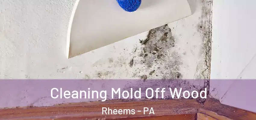  Cleaning Mold Off Wood Rheems - PA